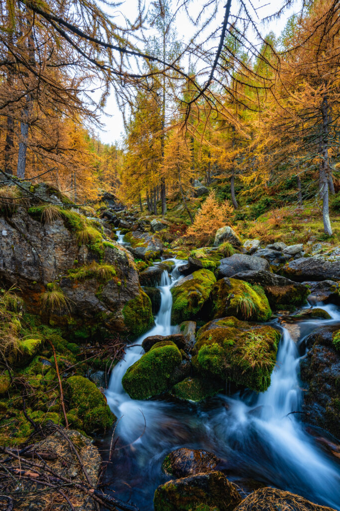 Autunno e i suoi colori