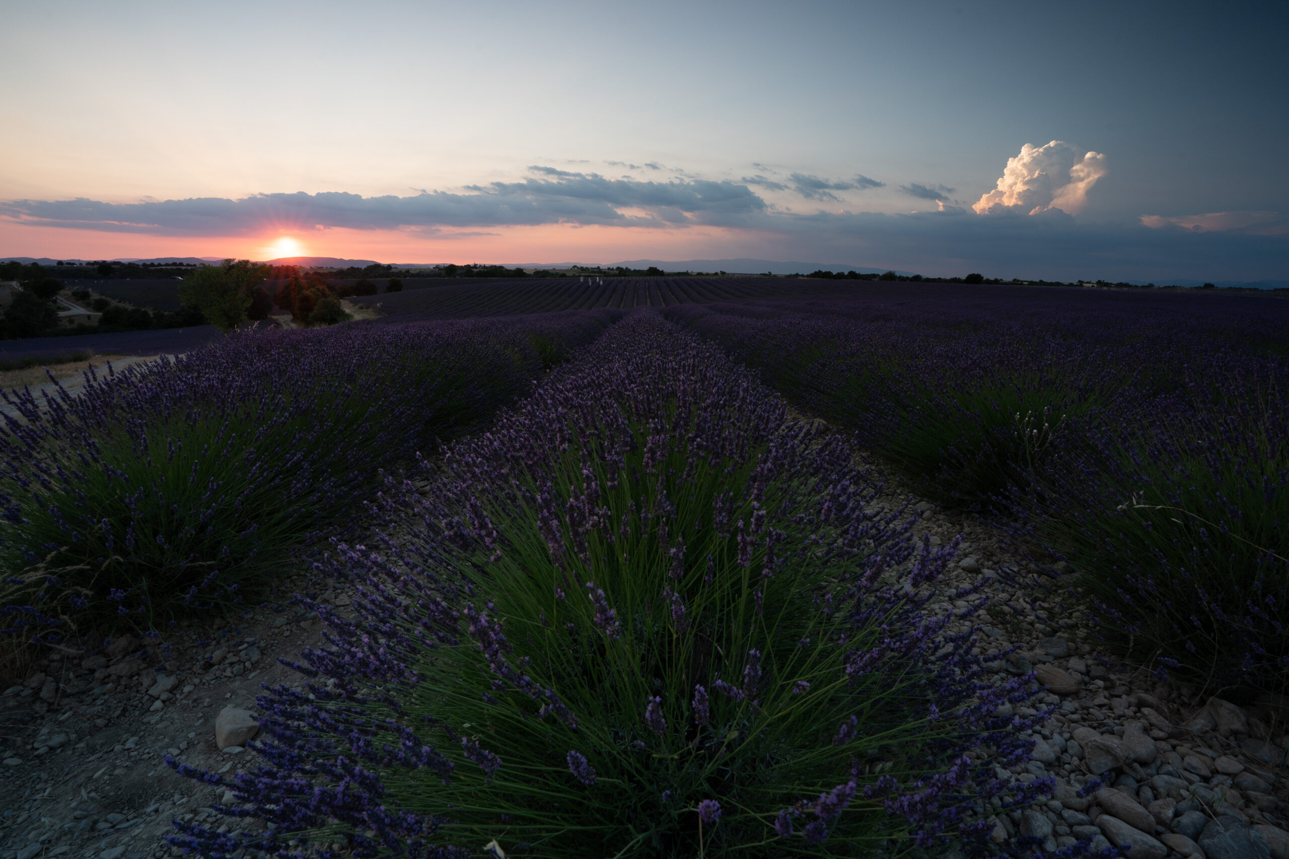 Fotografia RAW prima dell'editing