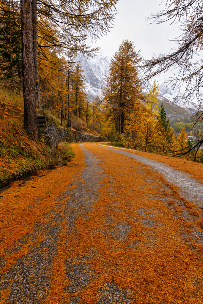 Autumn