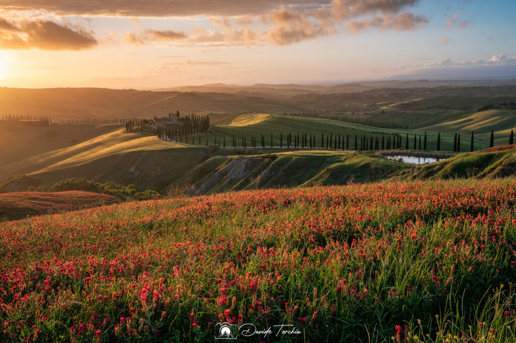 Crete Senesi